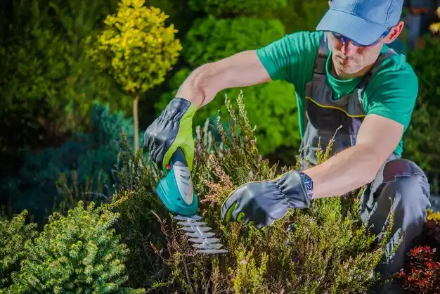 landscaping services Strongsville